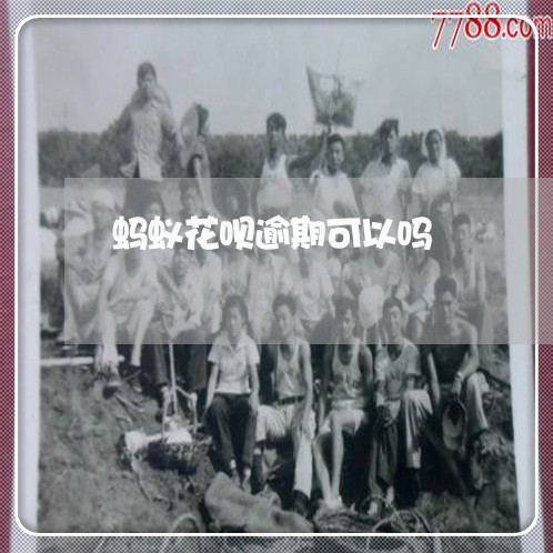 蚂蚁花呗逾期可以吗