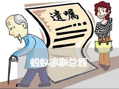 蚂蚁逾期总额