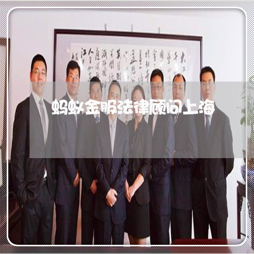 蚂蚁金服法律顾问上海/2023061940592