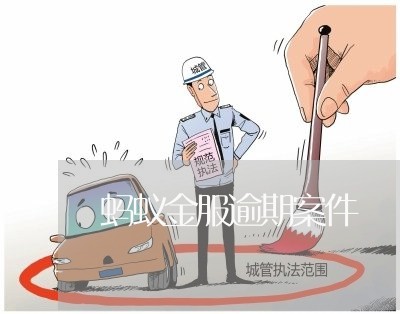 蚂蚁金服逾期案件