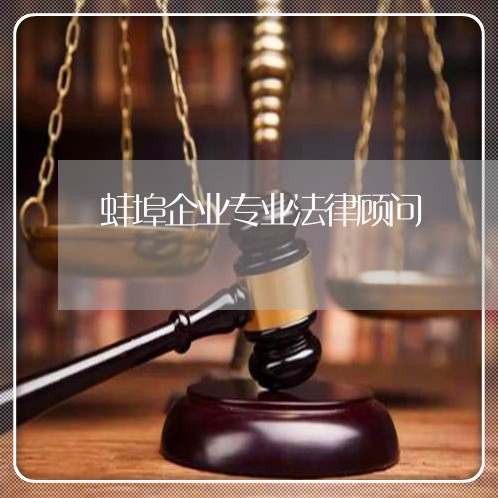 蚌埠企业专业法律顾问/2023061753928