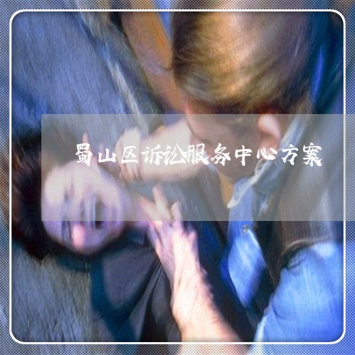蜀山区诉讼服务中心方案 蜀山区诉讼服务中心方案