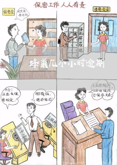 蜂巢几个小时逾期 蜂巢几个小时逾期
