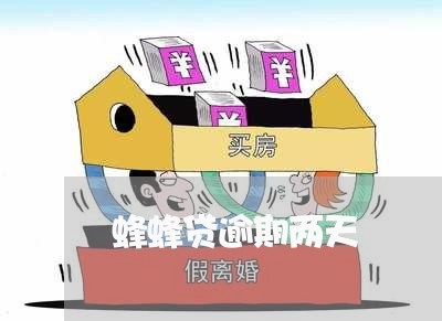 蜂蜂贷逾期两天