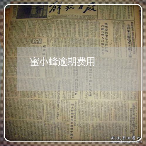 蜜小蜂逾期费用