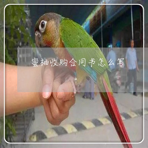 蜜柚收购合同书怎么写/2023022782925