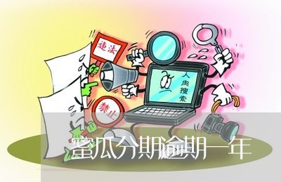 蜜瓜分期逾期一年