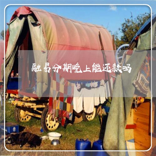 融易分期晚上能还款吗