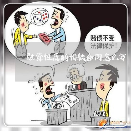 融资性质的借款合同怎么写/2023022730716 融资性质的借款合同怎么写/2023022730716