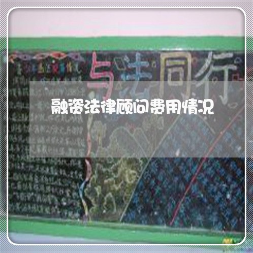 融资法律顾问费用情况/2023061750369 融资法律顾问费用情况/2023061750369