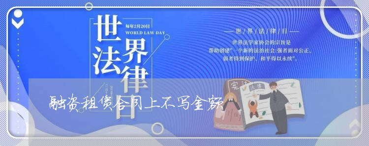 融资租赁合同上不写金额/2023041084717