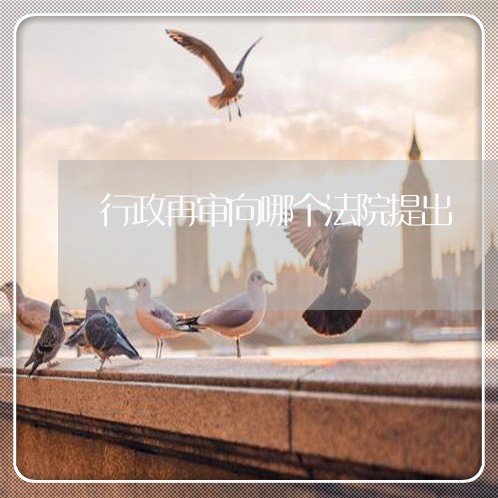 行政再审向哪个法院提出