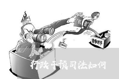 行政干预司法如何