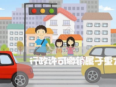 行政许可撤销属于重大违法 行政许可撤销属于重大违法