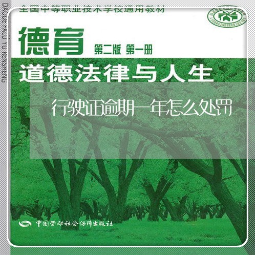 行驶证逾期一年怎么处罚 行驶证逾期一年怎么处罚