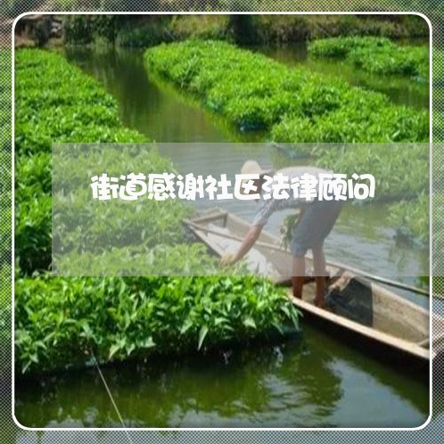 街道感谢社区法律顾问/2023061728068