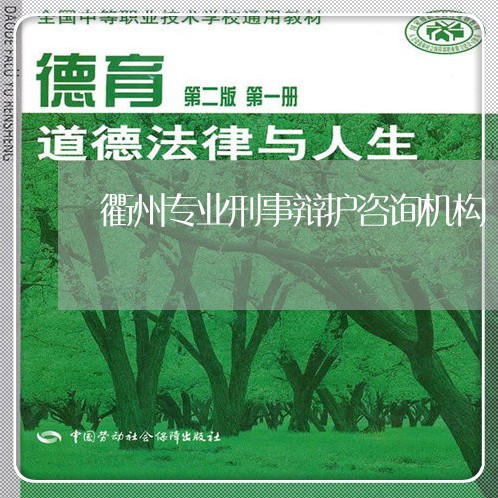 衢州专业刑事辩护咨询机构/2023060917959