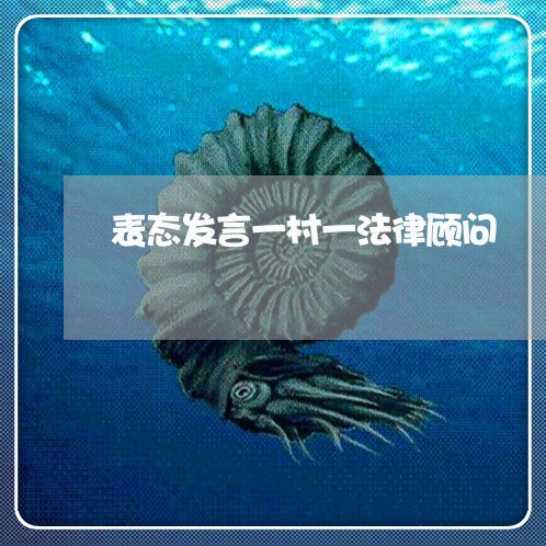 表态发言一村一法律顾问 表态发言一村一法律顾问