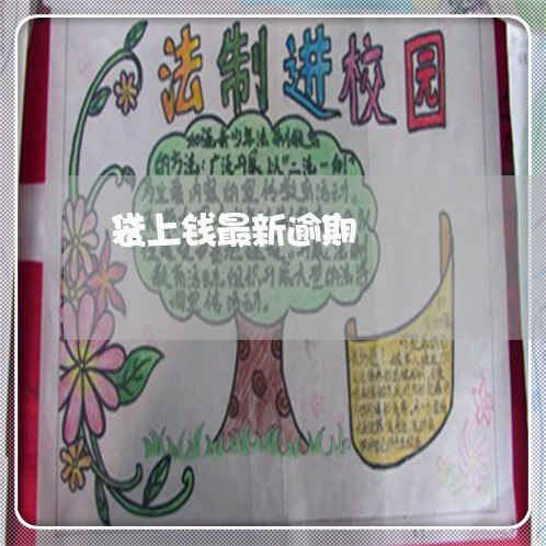 袋上钱最新逾期