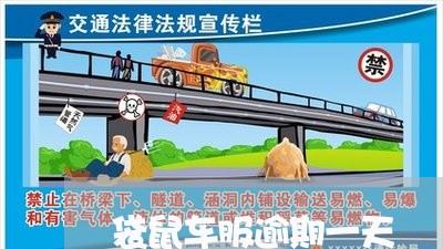 袋鼠车服逾期一天