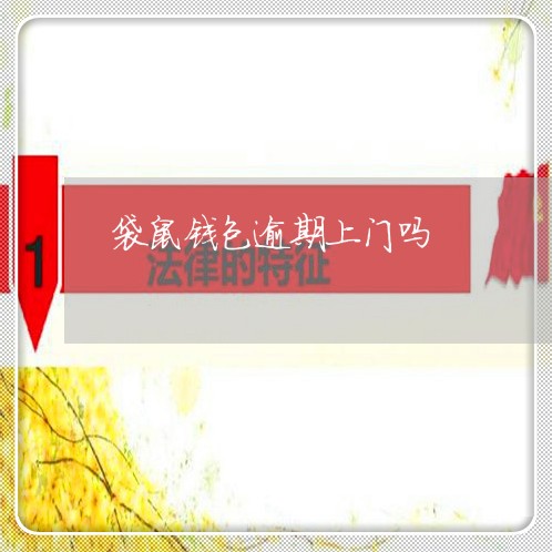 袋鼠钱包逾期上门吗 袋鼠钱包逾期上门吗