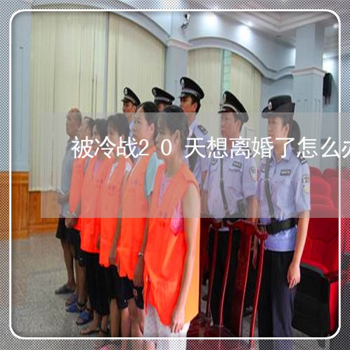 被冷战20天想离婚了怎么办/2023061262682