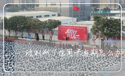 被判刑了信用卡逾期怎么办呢/2023060404806