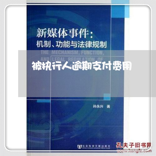 被执行人逾期支付费用