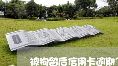 被拘留后信用卡逾期了 被拘留后信用卡逾期了
