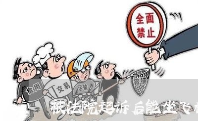 被法院起诉后能坐飞机么 被法院起诉后能坐飞机么
