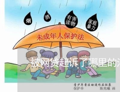 被网贷起诉了哪里的法院受理/2023120606268