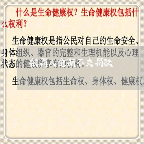 被罚人逾期不交罚款
