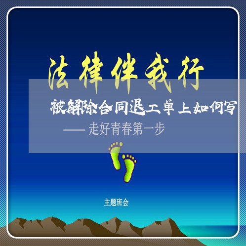 被解除合同退工单上如何写/2023061518949