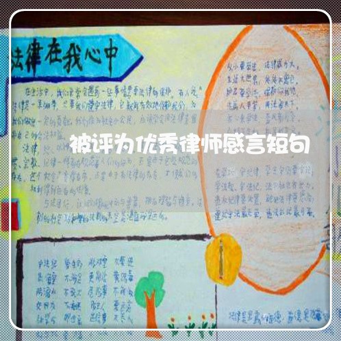 被评为优秀律师感言短句