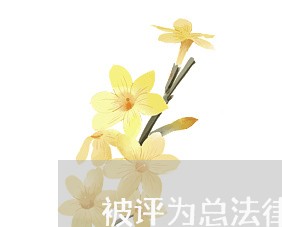被评为总法律顾问发言稿 被评为总法律顾问发言稿