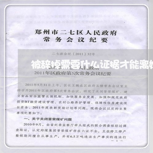 被辞掉需要什么证据才能离婚/2023060371794