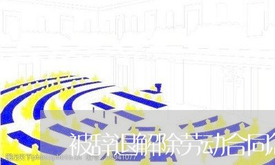 被辞退解除劳动合同怎么写/2023041535048 被辞退解除劳动合同怎么写/2023041535048