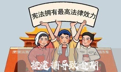被逮捕导致逾期