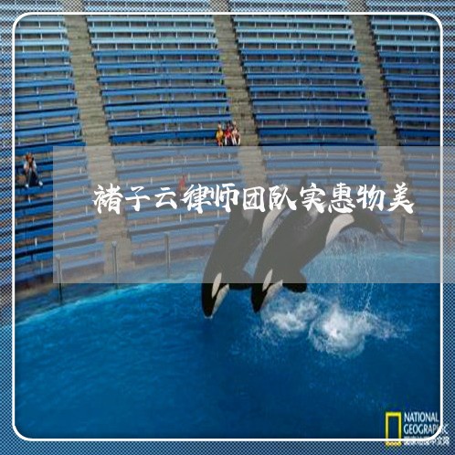 褚子云律师团队实惠物美 褚子云律师团队实惠物美