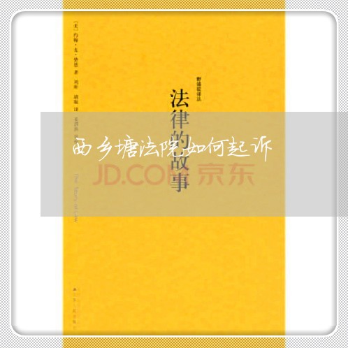 西乡塘法院如何起诉 西乡塘法院如何起诉