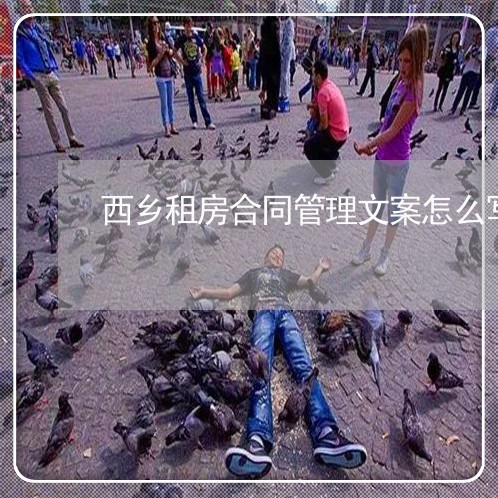 西乡租房合同管理文案怎么写/2023022679603 西乡租房合同管理文案怎么写/2023022679603
