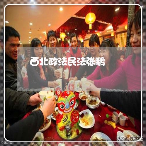 西北政法民法张鹏 西北政法民法张鹏