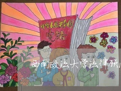 西南政法大学法律顾问 西南政法大学法律顾问