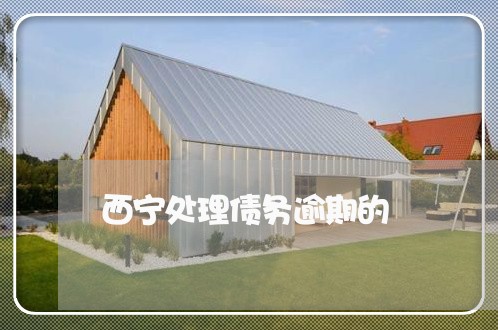 西宁处理债务逾期的 西宁处理债务逾期的