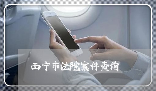 西宁市法院案件查询