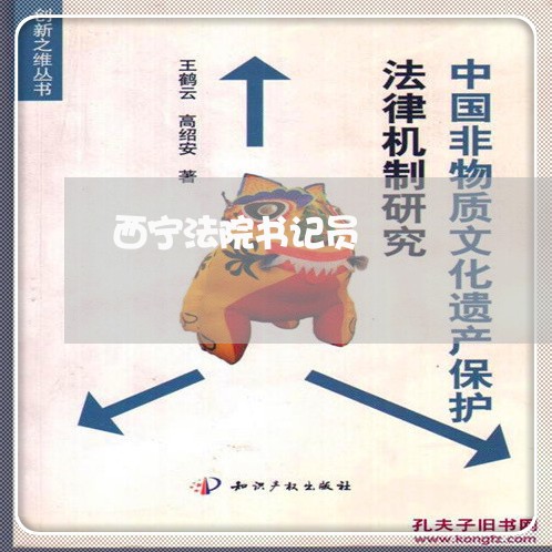 西宁法院书记员 西宁法院书记员