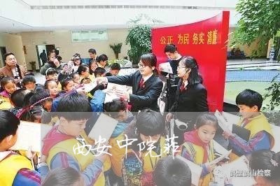 西安中院菲 西安中院菲