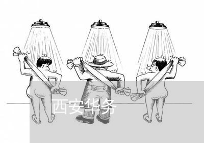 西安华务