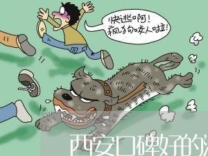 西安口碑好的法律顾问 西安口碑好的法律顾问