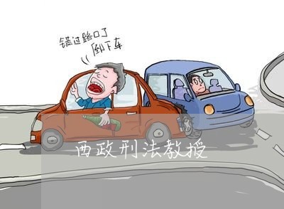 西政刑法教授 西政刑法教授